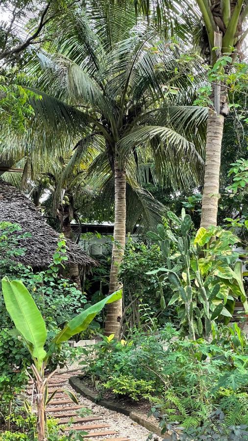 Atii Garden Bungalows Nungwi Eksteriør bilde